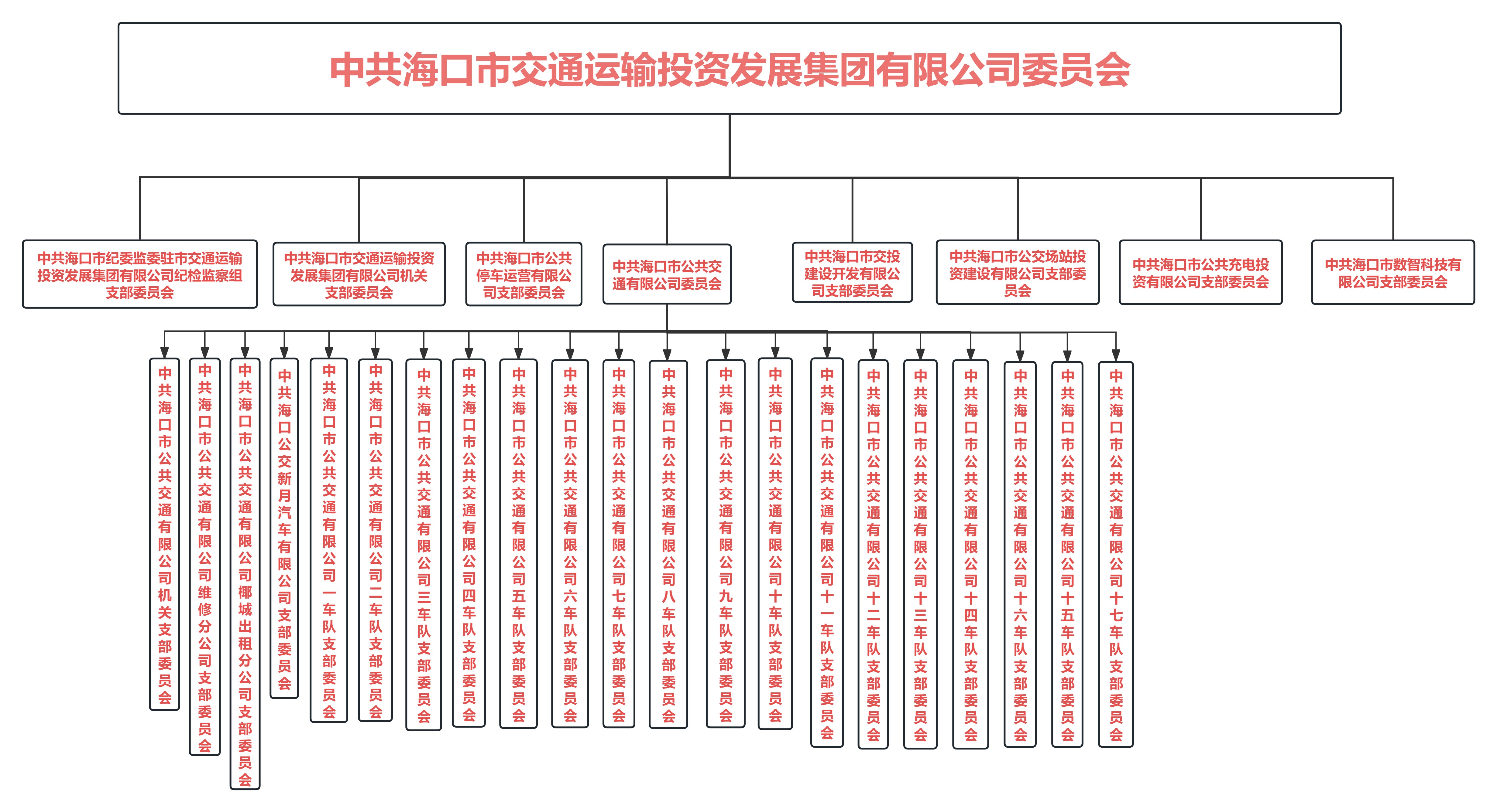 中共海口市交通運(yùn)輸投資發(fā)展集團(tuán)有限公司結(jié)構(gòu)圖.jpg